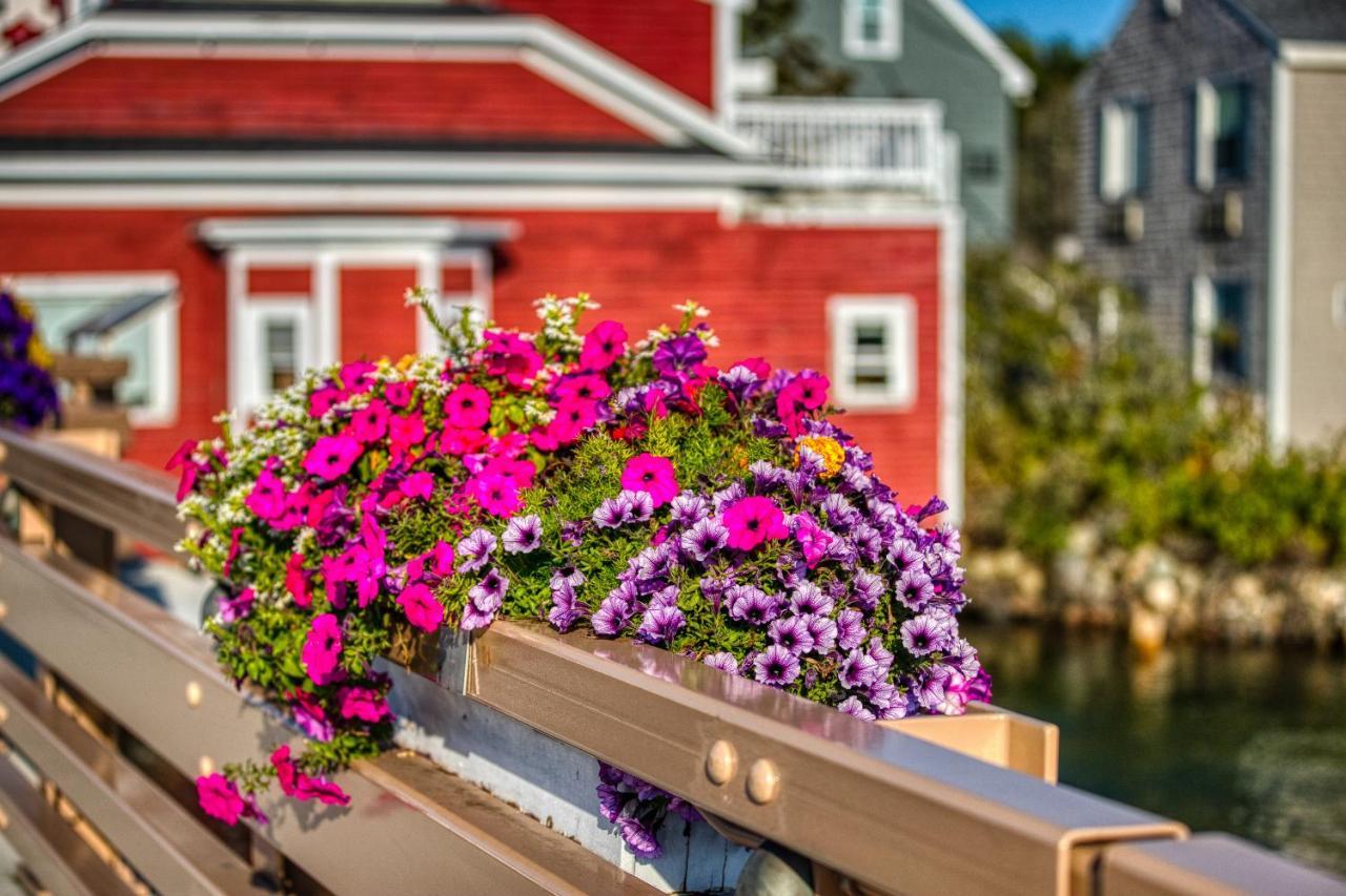 Quaint Bungalow Kennebunk Ngoại thất bức ảnh